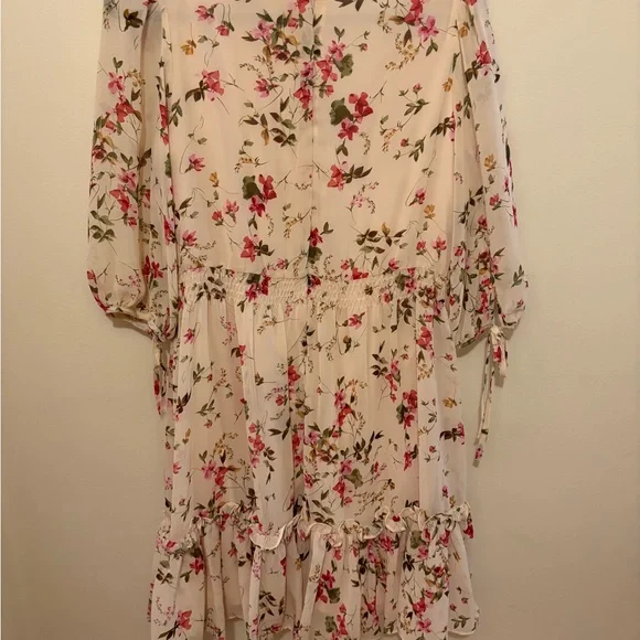 Taylor Cream Floral Dress with Pink and Red Accents - Picture 5 of 7